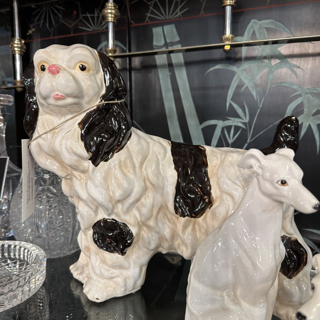 LARGE BLACK AND WHITE DOG