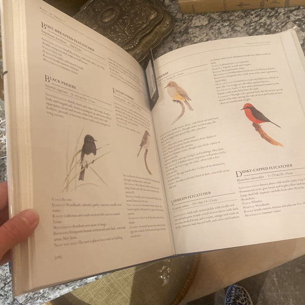 Birds of America Frank Shaw Book