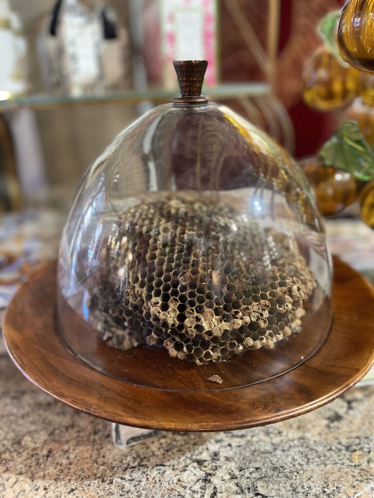 Hive and glass vintage dome with tray (in store pick up only)