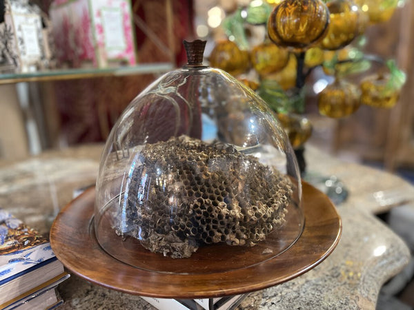 Hive and glass vintage dome with tray (in store pick up only)