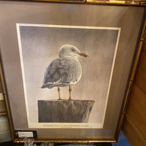 Pair 1978 Marshall Dubock Seagull Lithographs 17x21