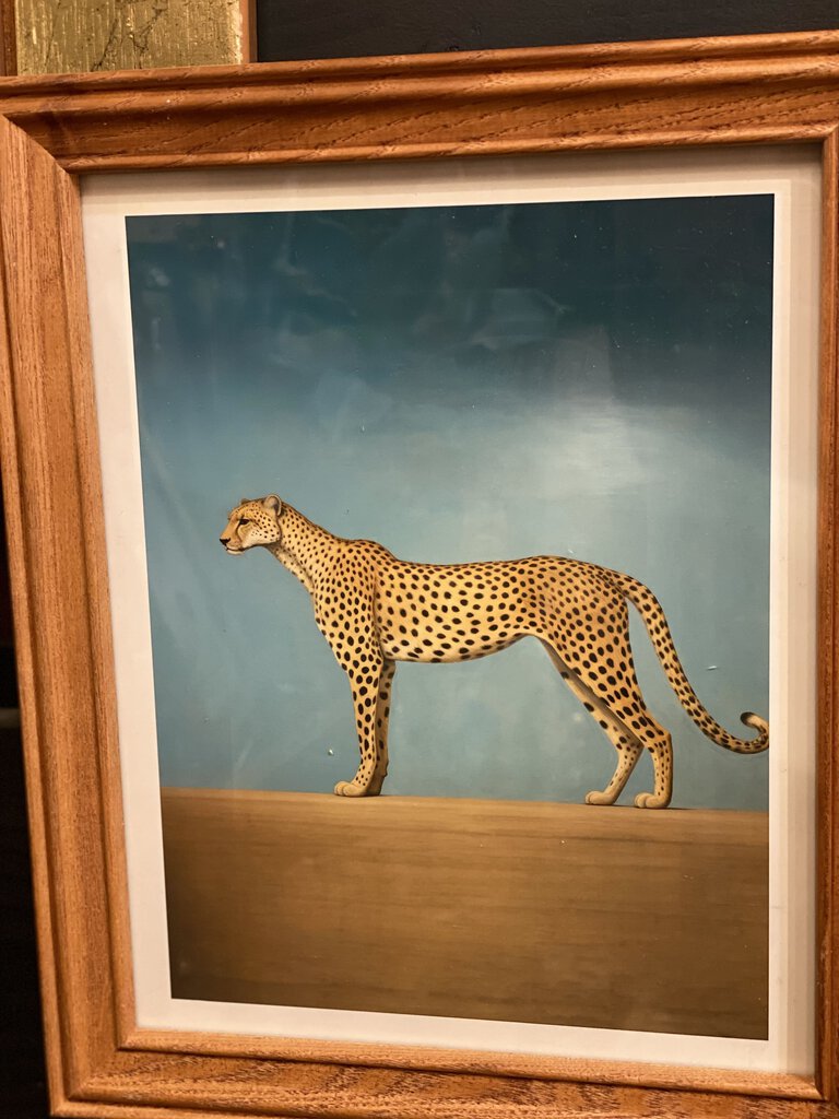 8x10 leopard frame