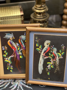 Vintage feather bird frame