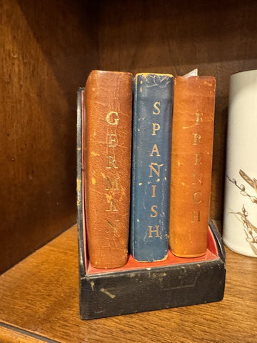 Set of Dictionaries German Spanish French-Vintage Leather