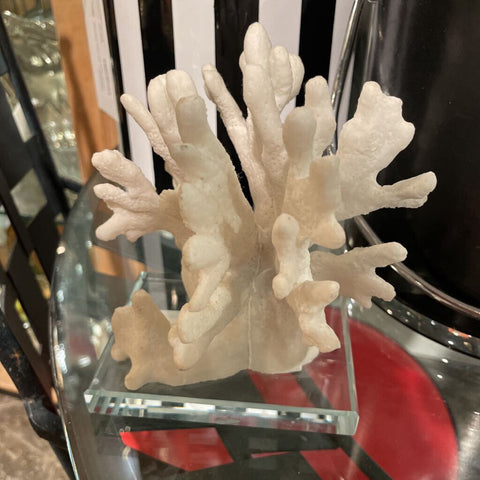 Faux Coral on glass base
