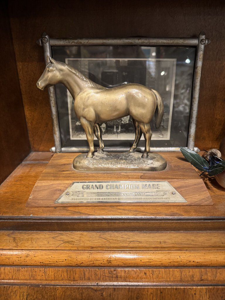 Grand Champion Mare trophy