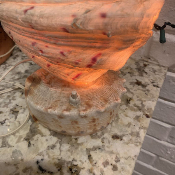 Vintage Clam Shell Lamp / 12 inches tall