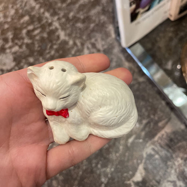 Cozy Cat Salt and Pepper Shaker