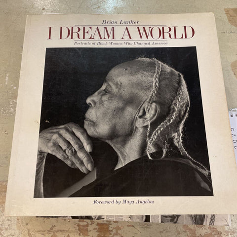 I Dream a World Book