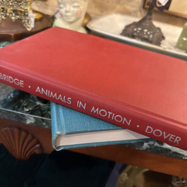 Animals in Motion Book