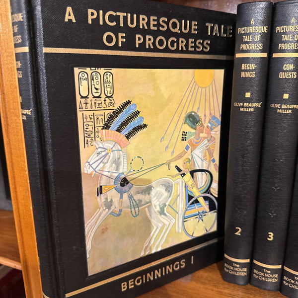 A Picturesque Take Of Progress complete set 1-9