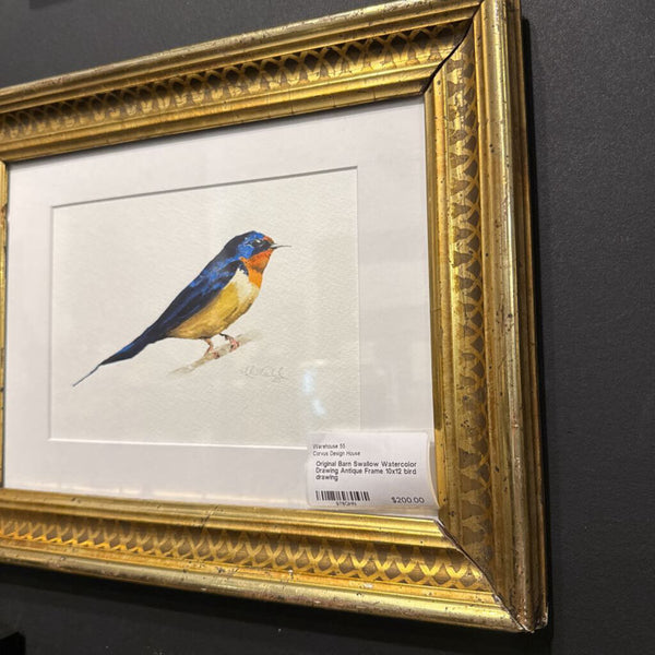 Original Barn Swallow Watercolor Drawing Antique Frame 10x12 bird drawing