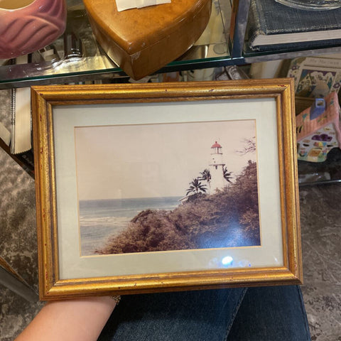 Gold Framed and Matted Photo of Lighthouse Beach 10in x 8 in
