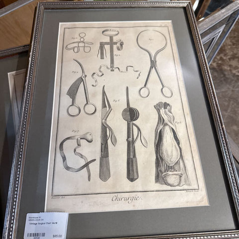 Vintage Surgical Chart 14x19