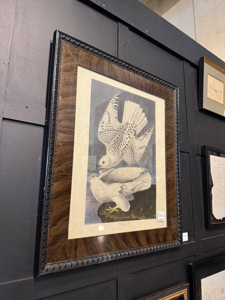 Iceland Falcon Print Framed Antique 21.5x25.5"