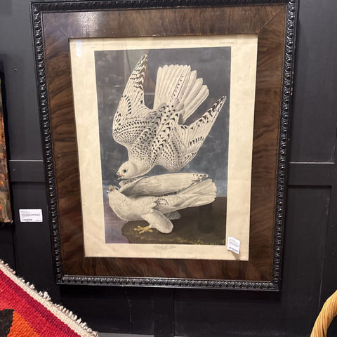 Iceland Falcon Print Framed Antique 21.5x25.5"