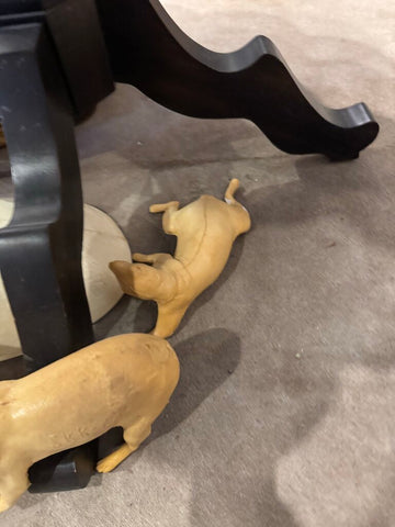 Small Game Taxidermy Forms various poses EACH