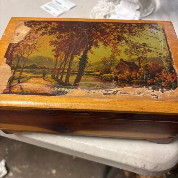 Wood Landscape Trinket / Things Box