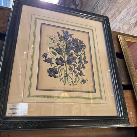 Framed and Matted Vintage Botanical Campanula 18x20