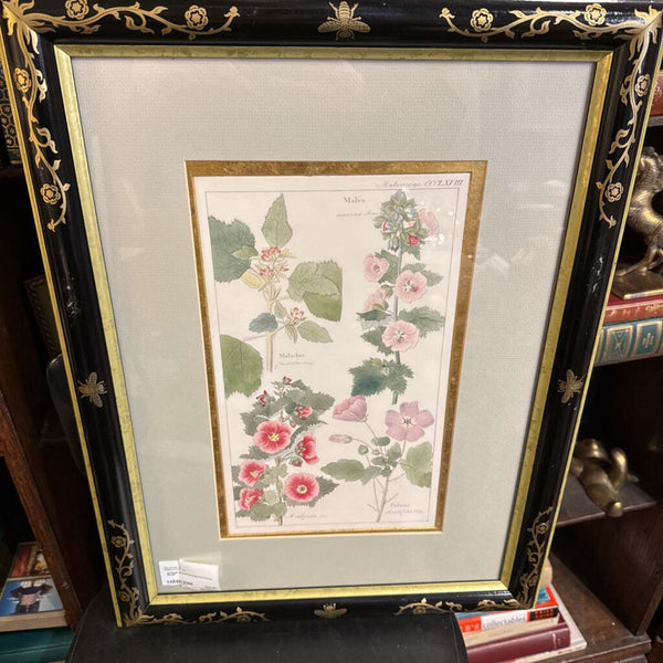 Vintage Botanical Painted Frame 16x22