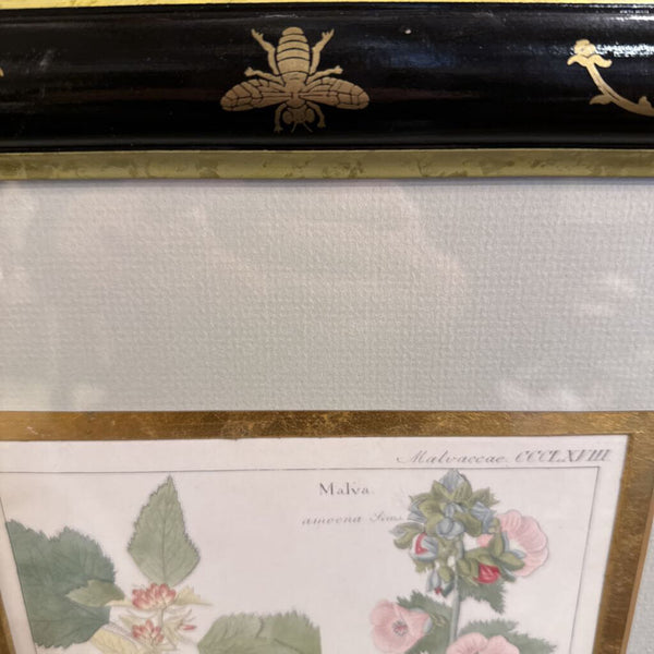 Vintage Botanical Painted Frame 16x22