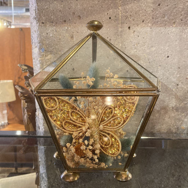 Brass/glass vitrine box with contents