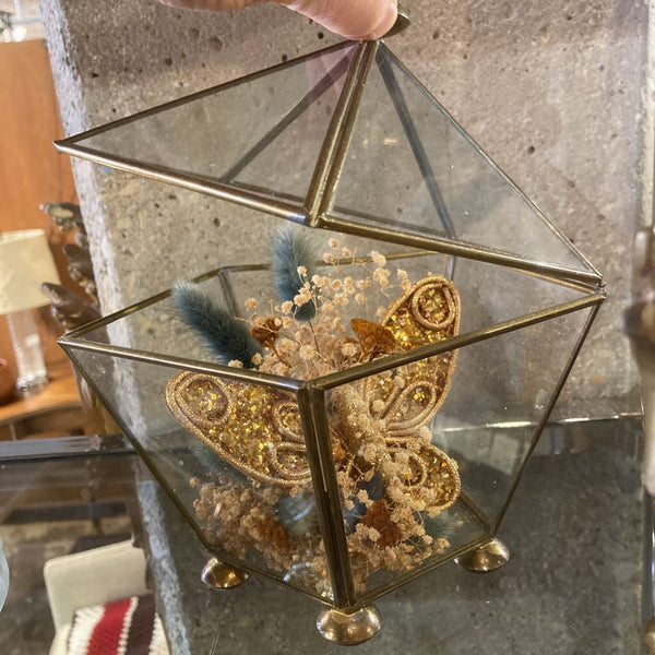Brass/glass vitrine box with contents