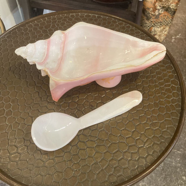 Shell Condiment Bowl with Spoon