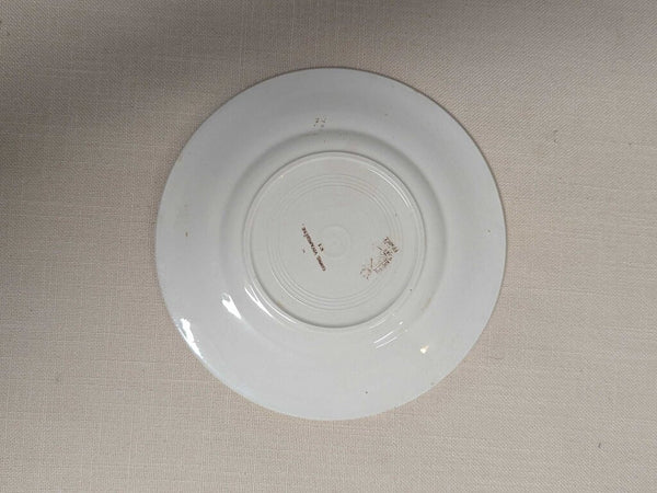 Antique French Transferware Plate Sarreguemines "Devinettes", Series 1 LSBJ