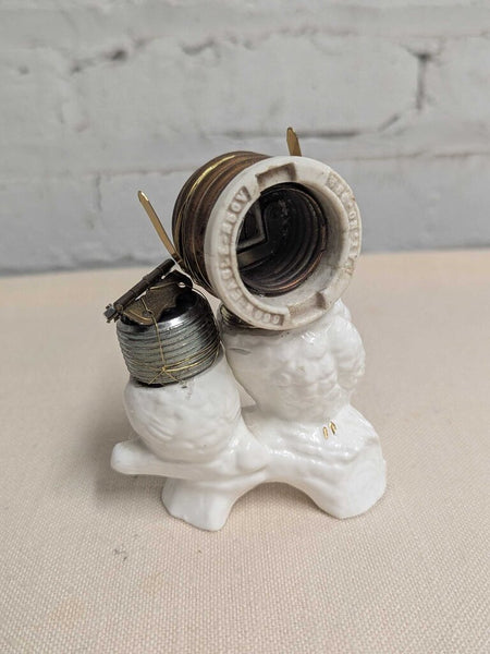 Owl Assemblage LSBJ