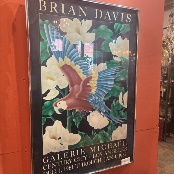 Vintage PARROT ART / signed artist BRIAN DAVIS