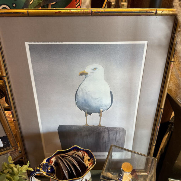 Pair 1978 Marshall Dubock Seagull Lithographs 17x21