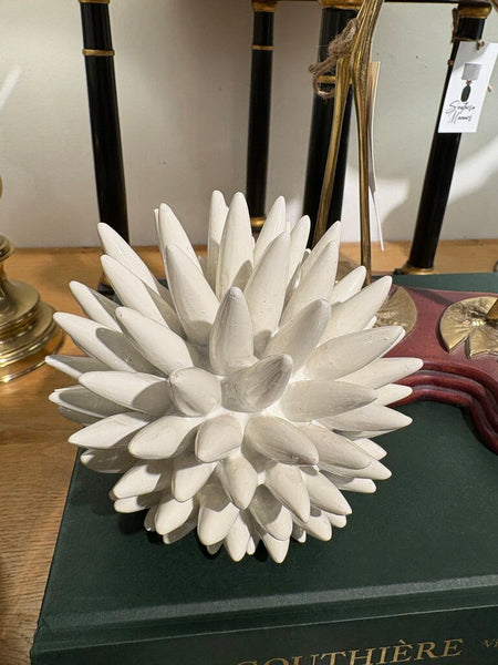 Nate Berkus sea urchin