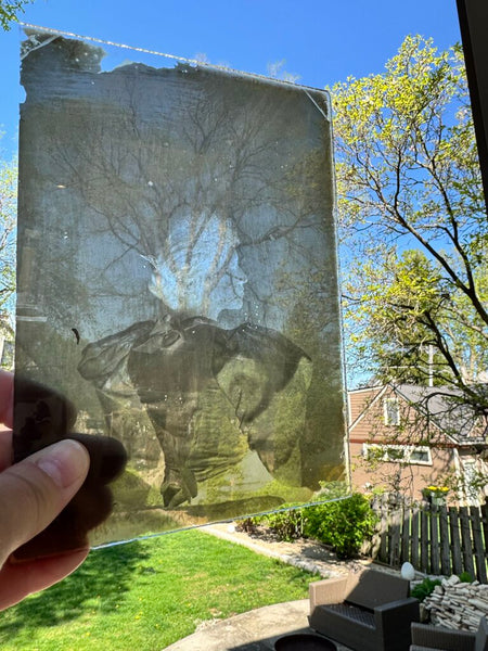 Victorian Era Glass Negatives- as is (each)