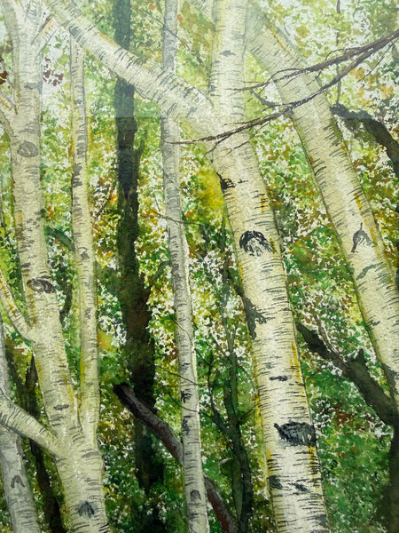 Birch Forest by JM Kralocec 19x23