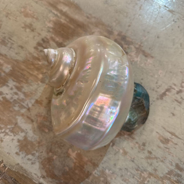 VINTAGE SHELL