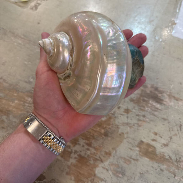 VINTAGE SHELL