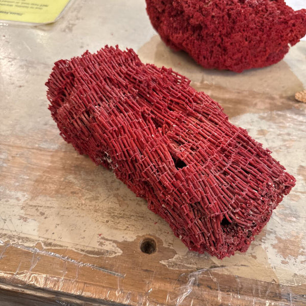 RED SPONGE CORAL 9X5