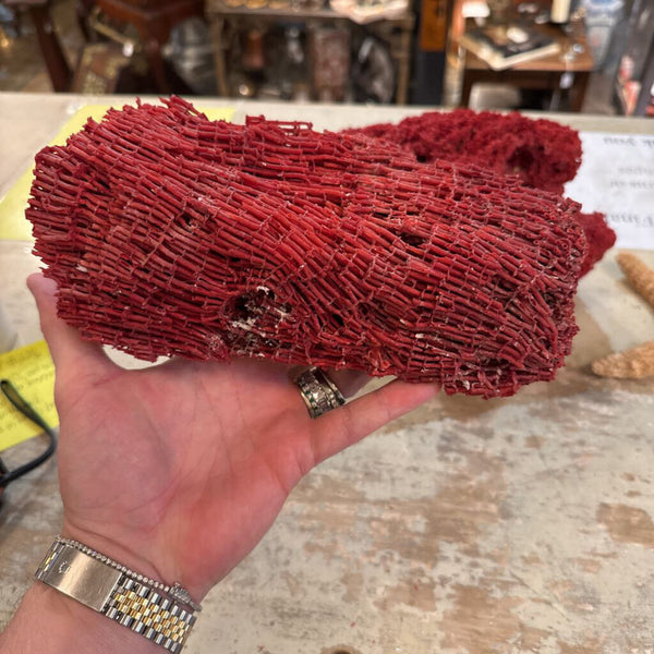 RED SPONGE CORAL 9X5