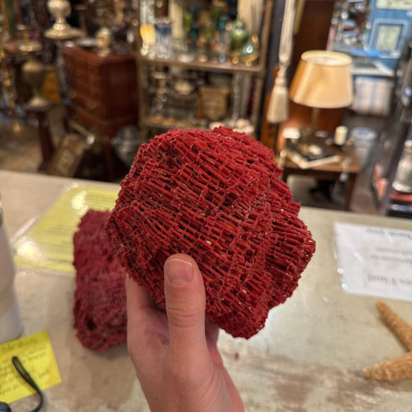 RED SPONGE CORAL 10X8
