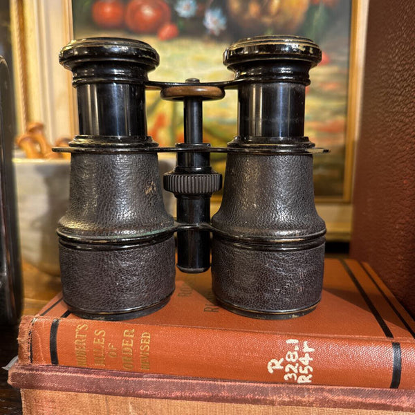 Vintage Swiss Binoculars and leather case as found