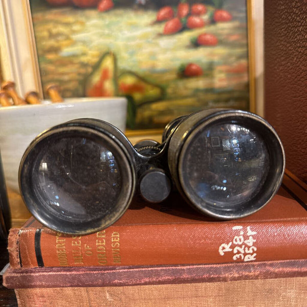Vintage Swiss Binoculars and leather case as found