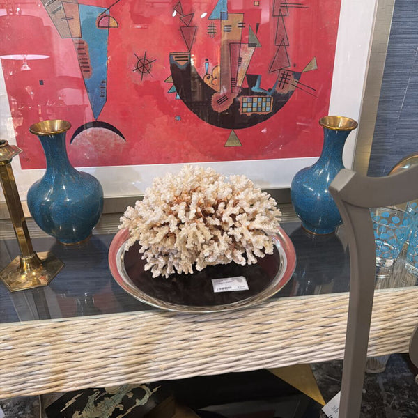 Large coral specimen