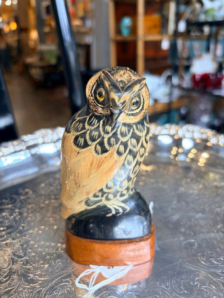 Carved vintage owl on water buffalo horn-5 inch