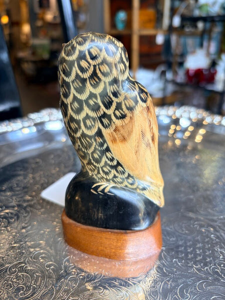 Carved vintage owl on water buffalo horn-5 inch