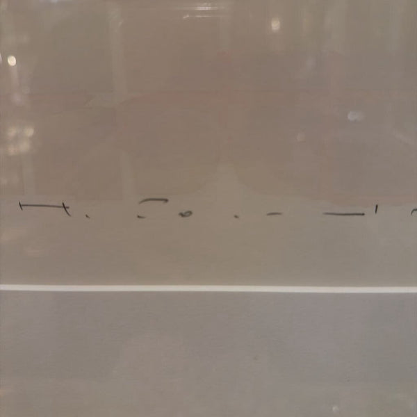 Japanese artist T Hara signed and number Serigraph 9/20. 36.5 x 28