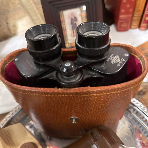 Vintage binoculars with case and compass