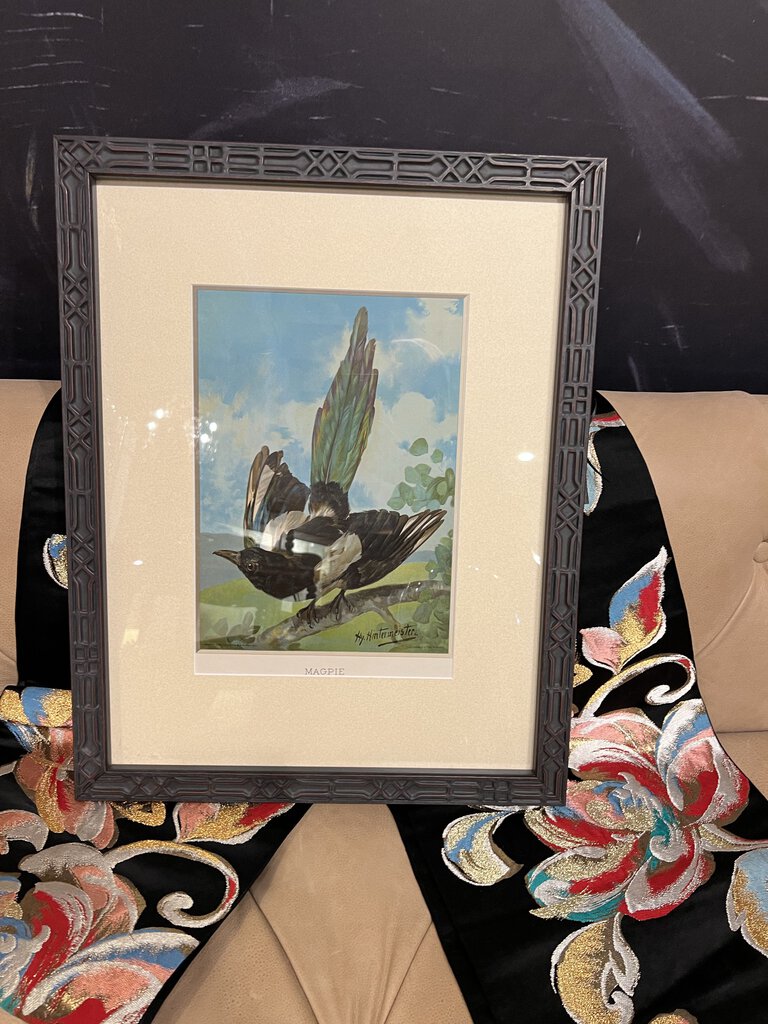 Henry Hy. Hintermeister Magpie Chromolithograph