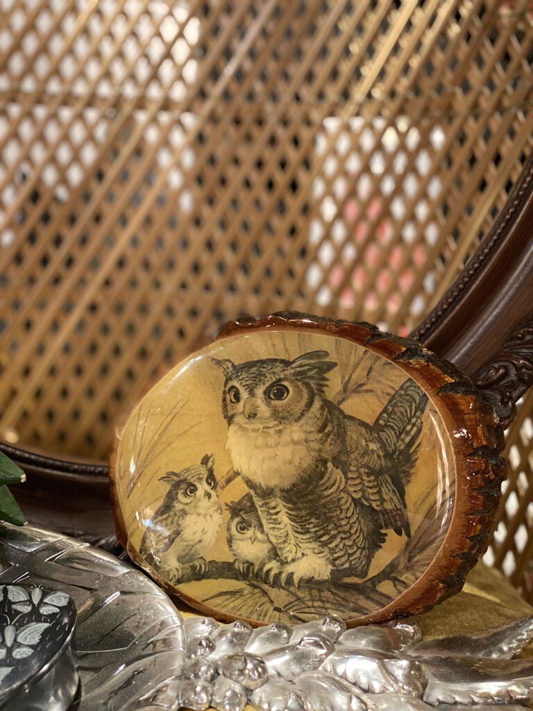 Owls on wood vintage