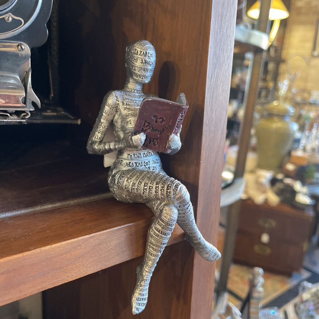 Silver book reader